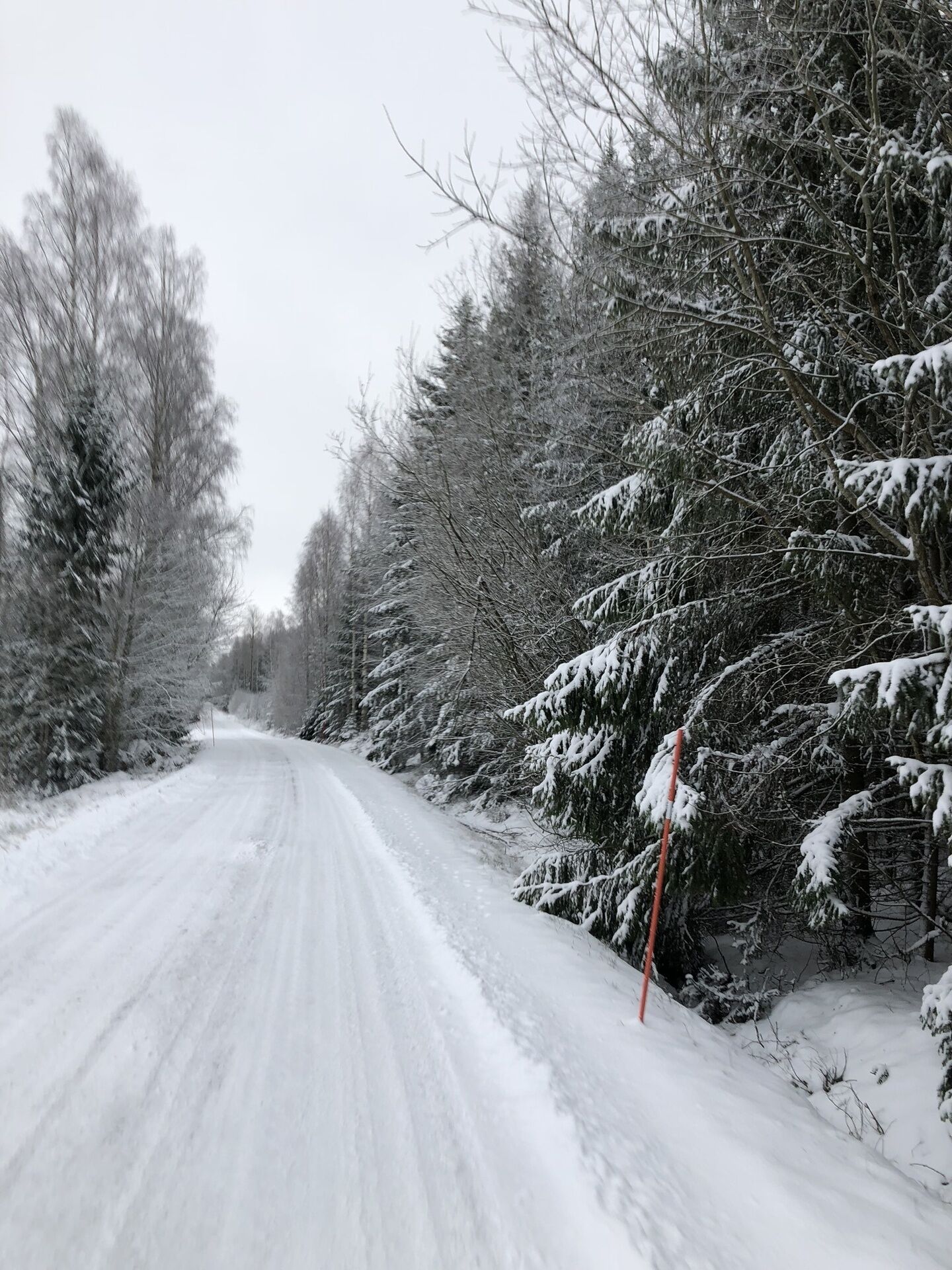 Snø- og skisport