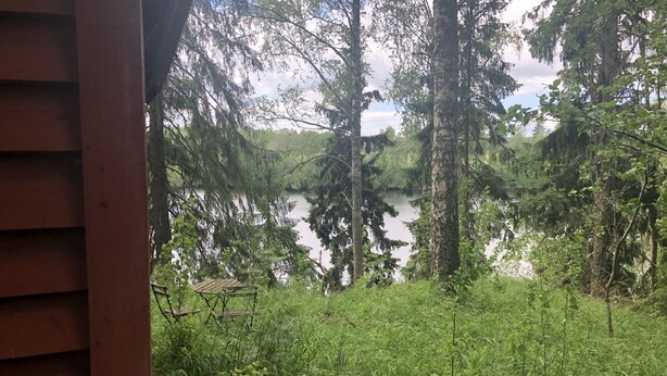 Vista de un lago rodeado de árboles y follaje frondosos, con una estructura de madera visible a la izquierda.