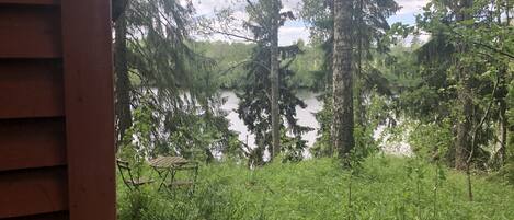 Cabin | Property grounds