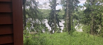 타이니 훗 인 더 포레스트 오버루킹 더 리버