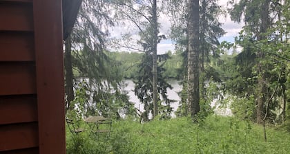 Tiny hut in the Forest Overlooking the River