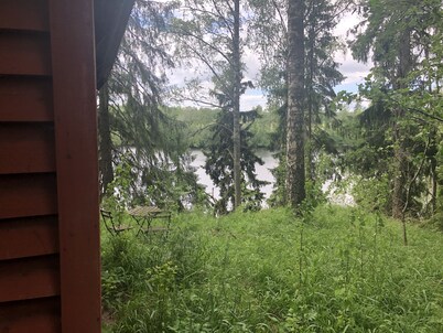 Tiny hut in the Forest Overlooking the River