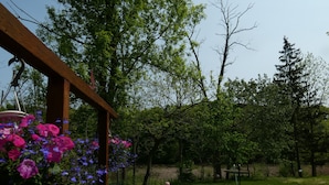 A garden with a wooden pergola, hanging flower baskets, and a grassy lawn.