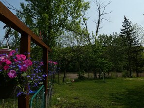 Terrain de l’hébergement 