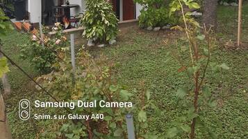 Overnattingsstedets uteområder