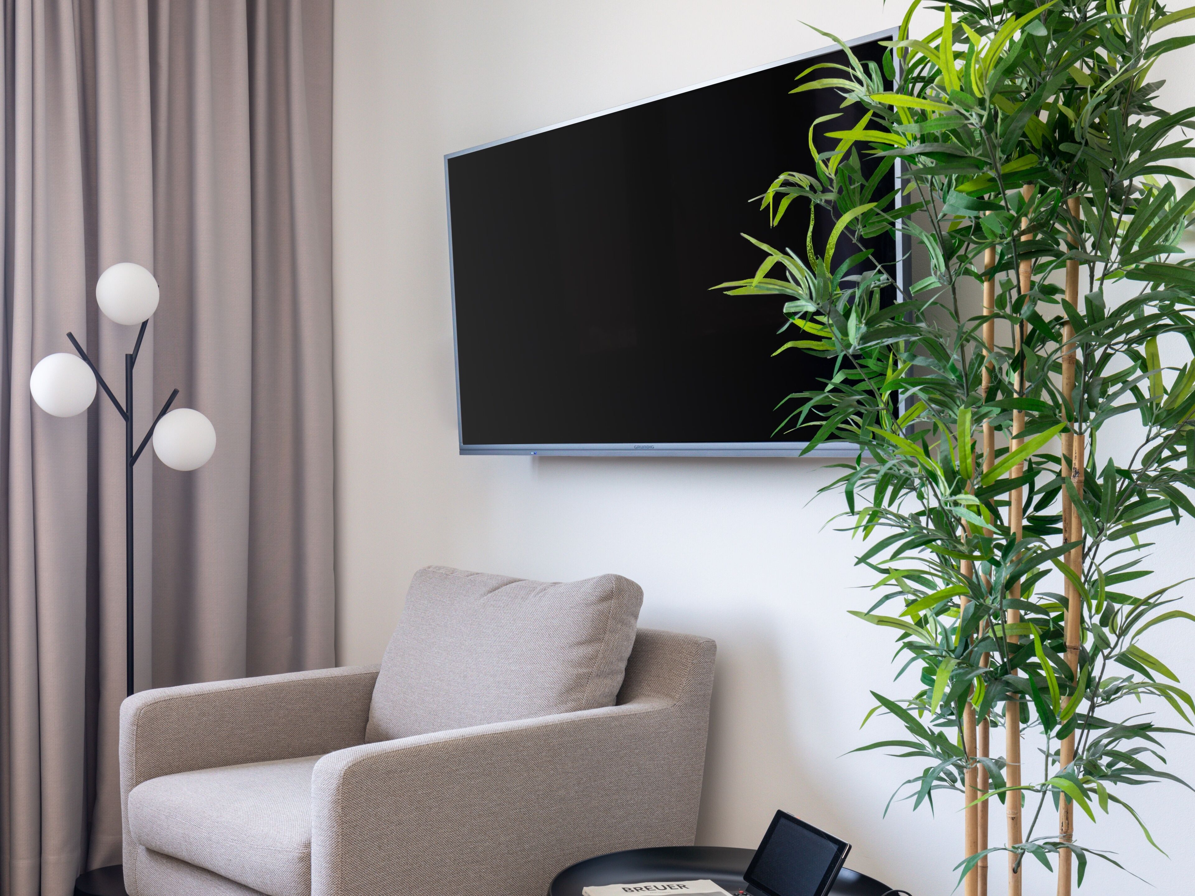 A modern living room with a flat-screen TV mounted on the wall, a grey sofa, a floor lamp, and a bamboo plant.