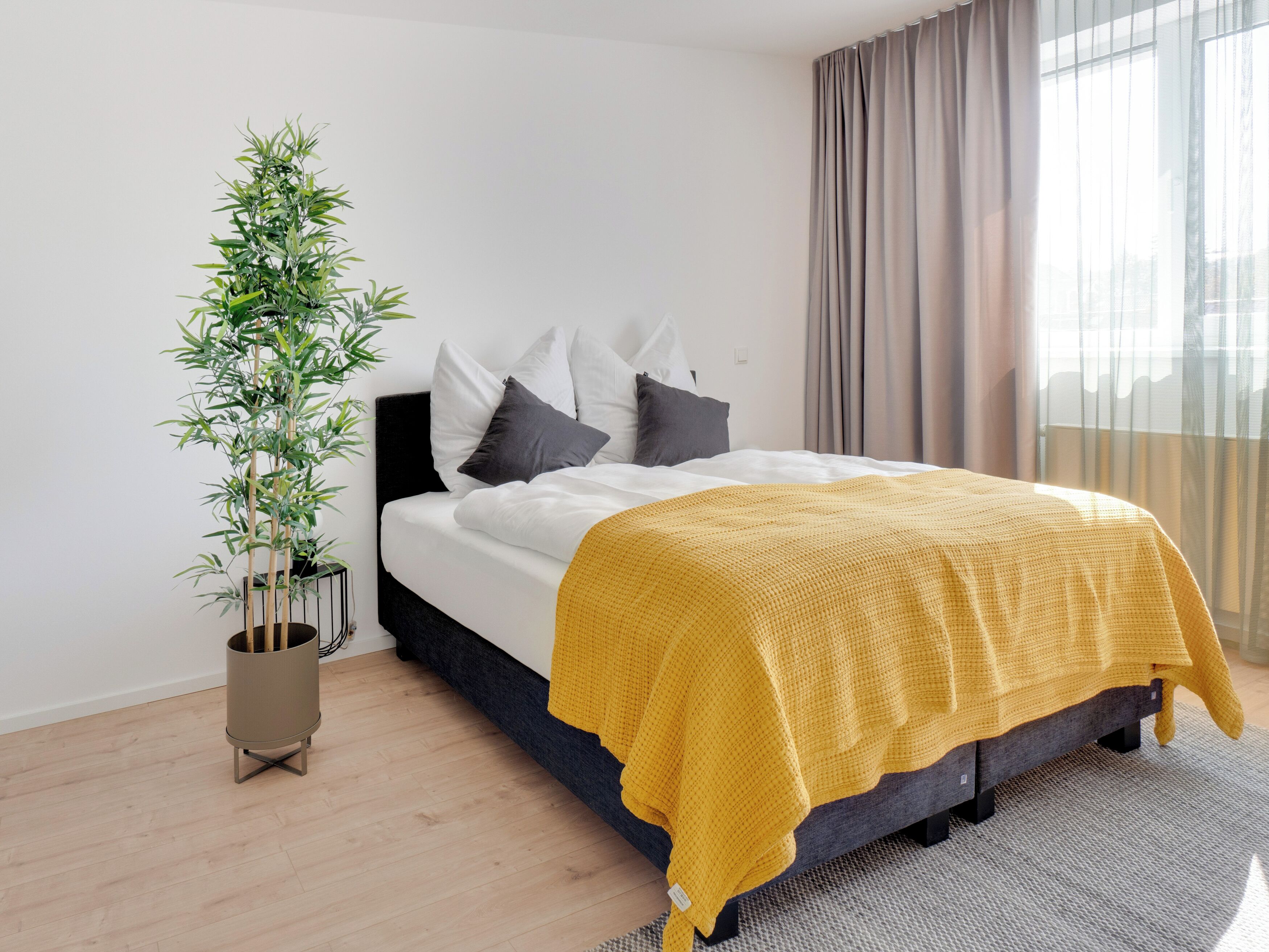 A modern bedroom with a bed, a potted plant, and a view of the outside.
