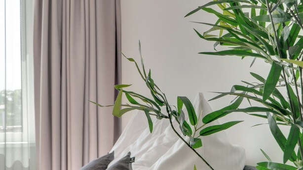 Une chambre avec un lit, des oreillers et une grande plante verte.
