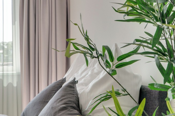 Suite L + seating area | Laptop workspace, WiFi (free), bed sheets