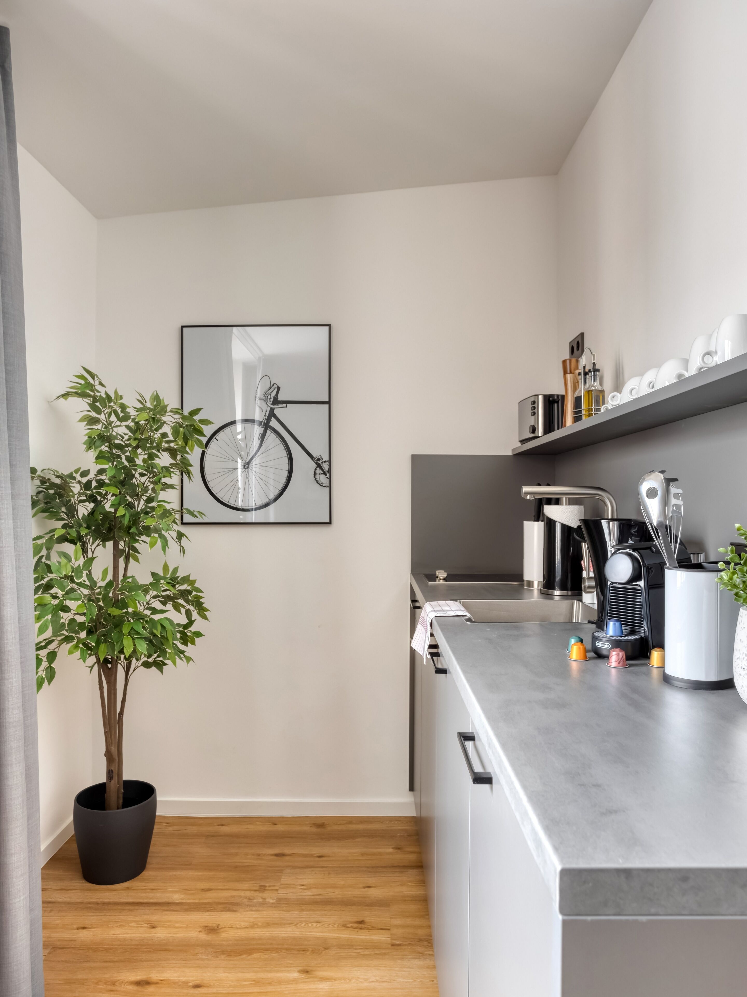 A modern kitchen with a wooden floor, a potted plant, a bicycle artwork, and a coffee machine.