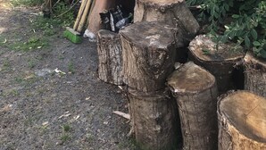 Un décor extérieur rustique, avec une grande sculpture en argile représentant un visage, entourée de troncs d’arbres et de verdure.