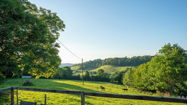 A dining area with a table and chairs, overlooking a grassy field with horses and trees.