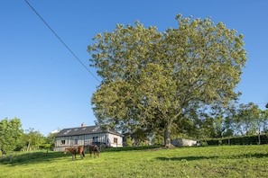 Extérieur