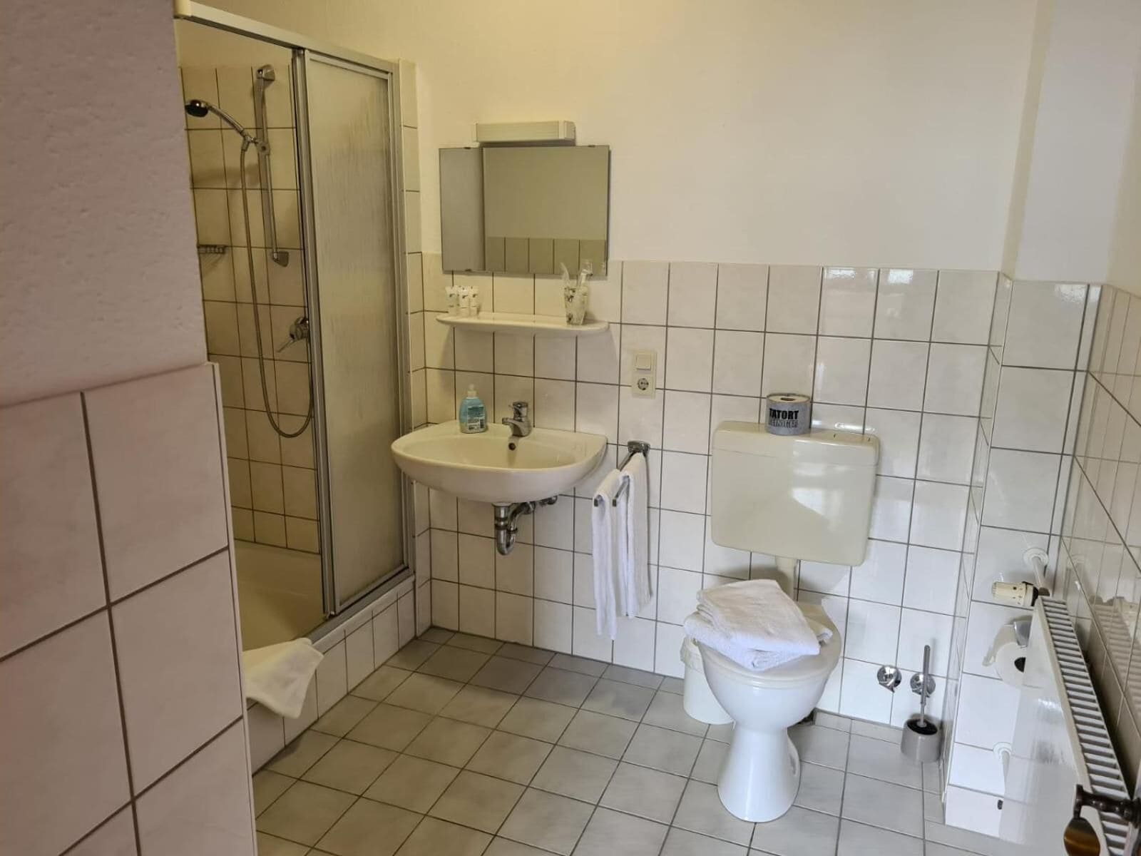 basic double room (budget) | bathroom | shower, hydromassage showerhead, eco-friendly toiletries, hair dryer