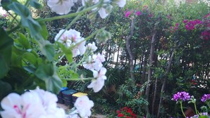 Ein Garten mit verschiedenen Blumen und Pflanzen, einer Rasenfläche und einem Holzzaun.