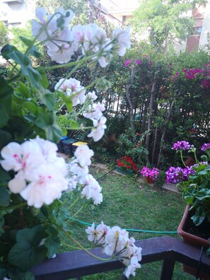 Exterior - Il Giardino di Anna (Cagliari)