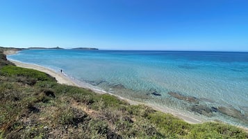 Playa en los alrededores