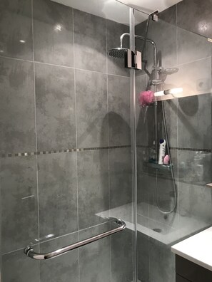 Shower, hair dryer, soap, toilet paper