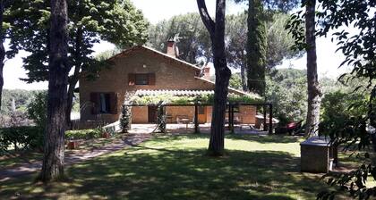 Hebald guesthouse: suite with private garden.