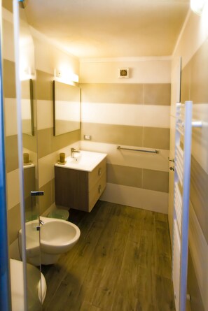 Hair dryer, towels, toilet paper