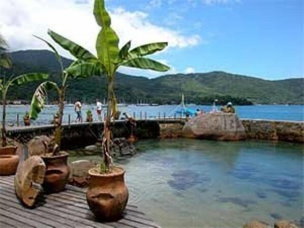 A wooden dock with potted plants and a calm body of water.