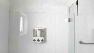 Hair dryer, towels, soap, toilet paper
