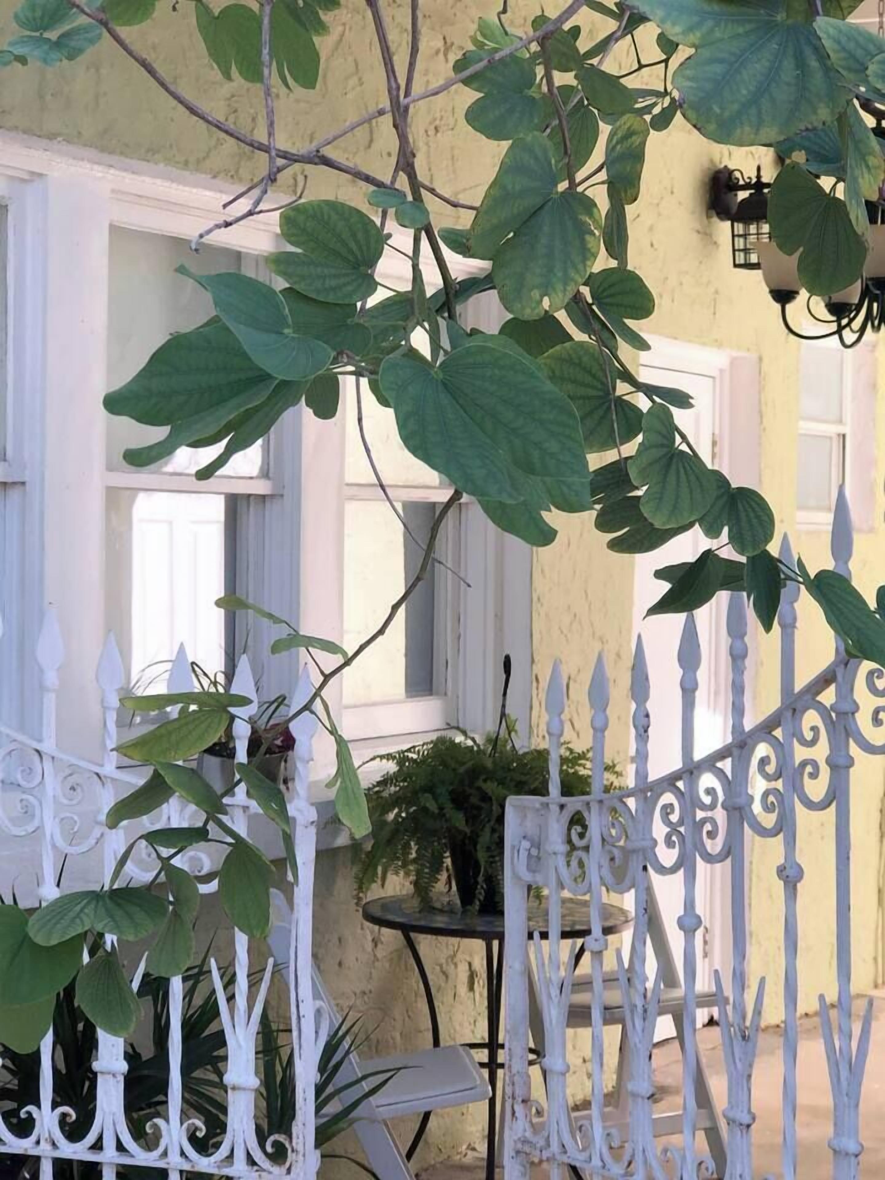 A white metal fence, a building with white shutters, and a hanging light fixture.