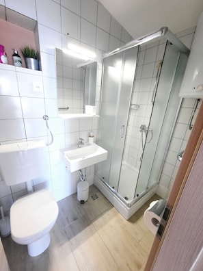 Douche, sèche-cheveux, serviettes fournies, papier toilette