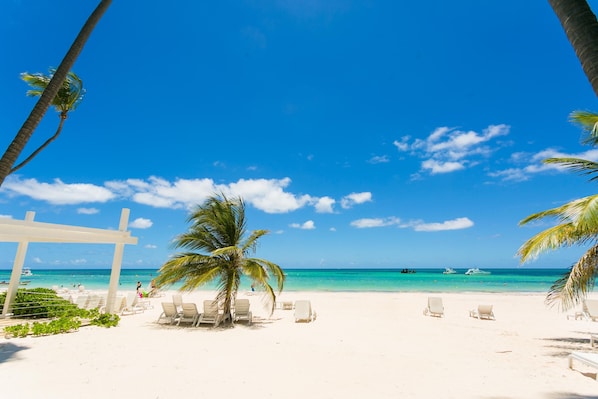 Une plage avec des chaises longues blanches, un palmier et un ciel bleu azur.
