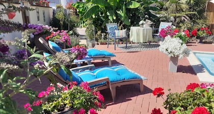 LOVELY SINGLE-STOREY GITE WITH SWIMMING POOL 15 KM FROM EUROPA PARK