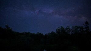Una cabaña con vista a un cielo estrellado, rodeada de árboles.