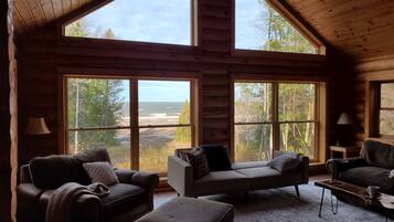 TV connectée, cheminée, livres, espaces bureaux