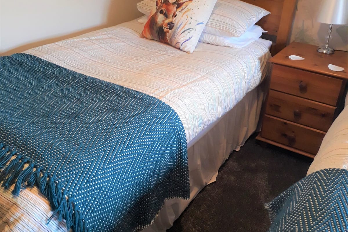 Habitación con 2 camas individuales | Ropa de cama