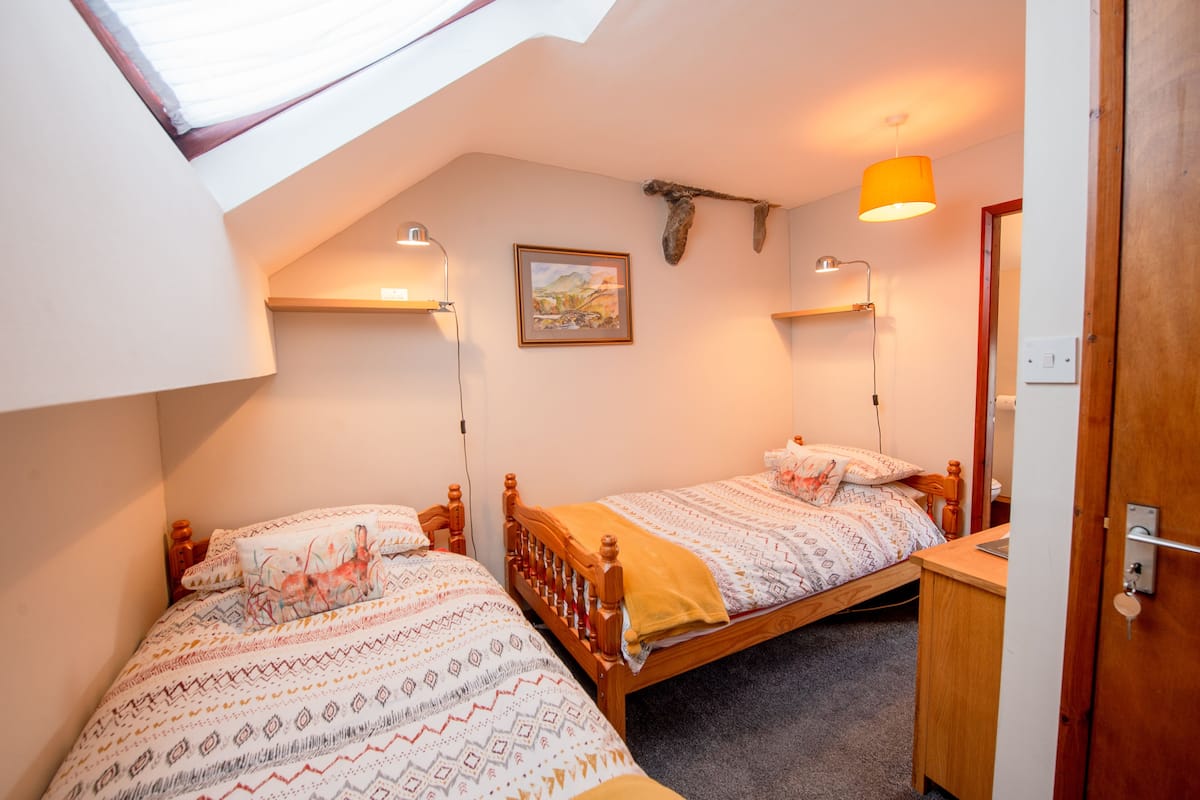 A bedroom with two single beds, a skylight, a wooden headboard, a painting, and a desk with a lamp.