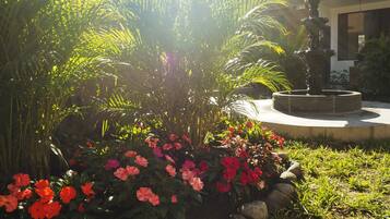 Jardín