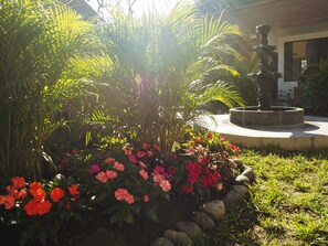 Jardim