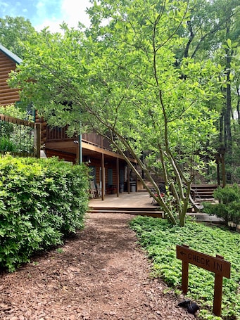 Property grounds. Log Cabin in North Georgia Mountains