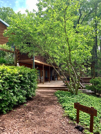 Log Cabin in North Georgia Mountains