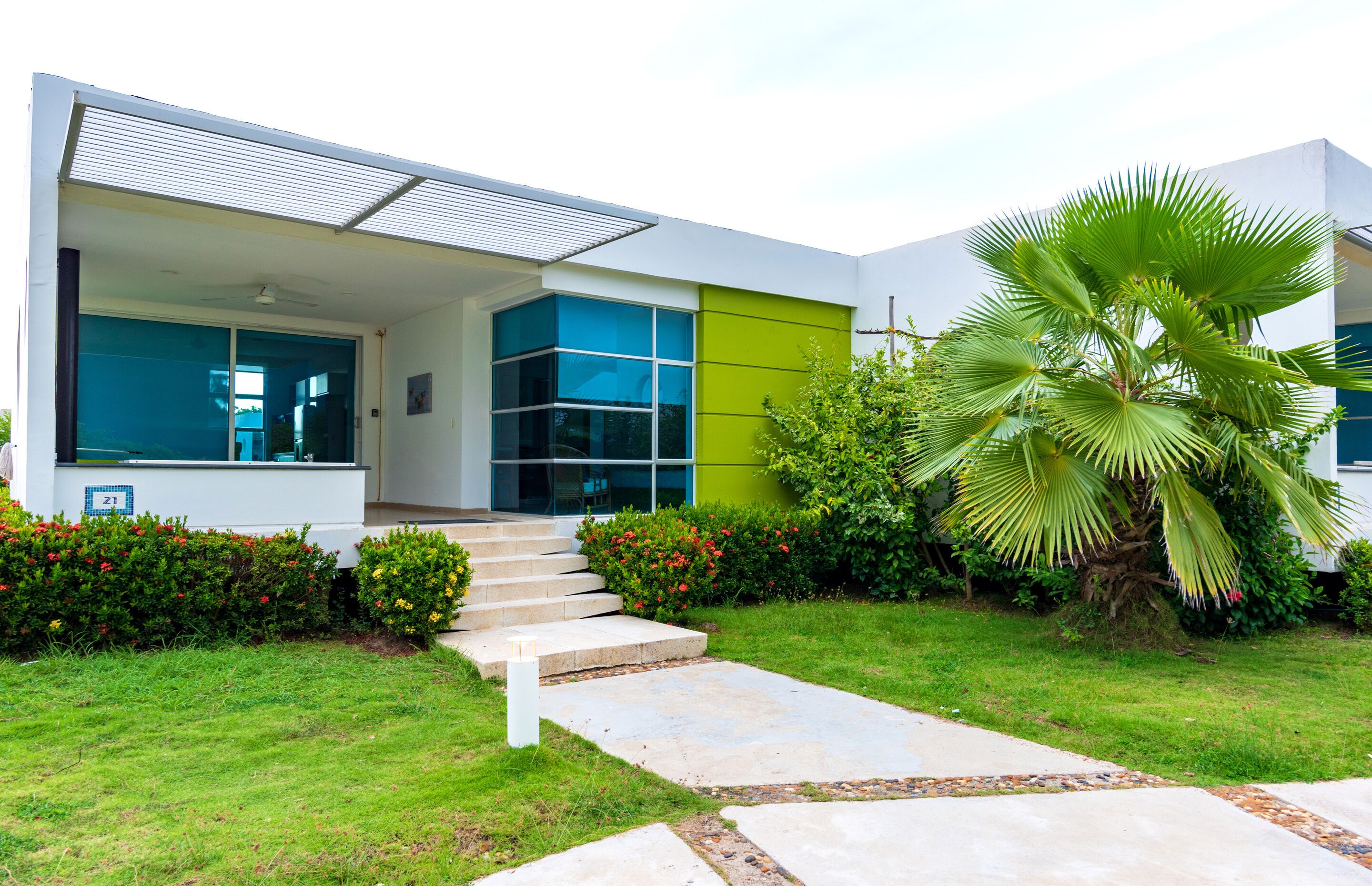 A modern house with a large glass window, a green wall, and a palm tree in the garden.
