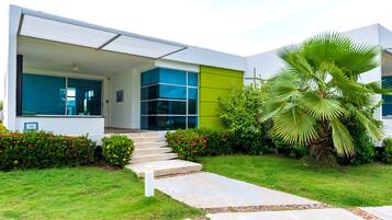 A modern house with a large glass window, a green wall, and a palm tree in the garden.