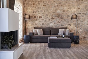 Televisión, chimenea y libros 