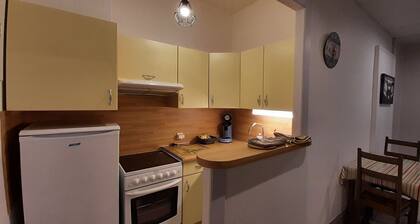 STUDIO 2 PERSONNES PROXIMITĂ DES THERMES