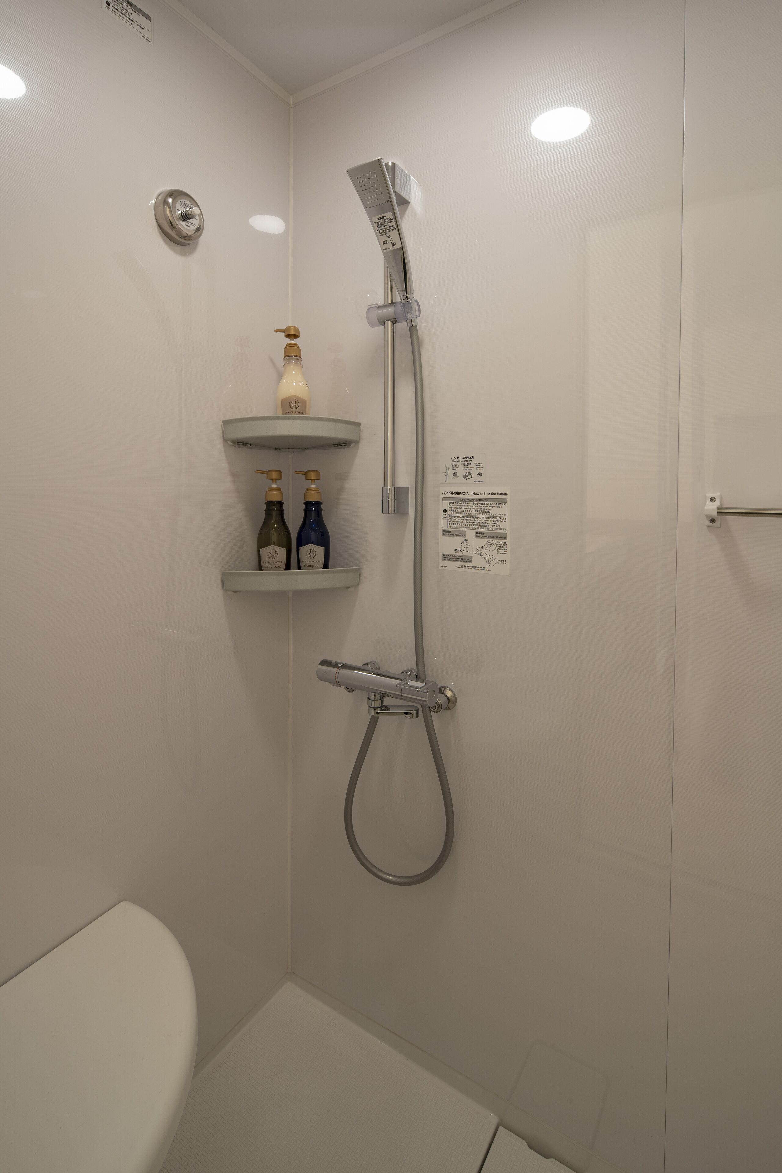Un bagno con doccia, servizi igienici e due ripiani con bottiglie.