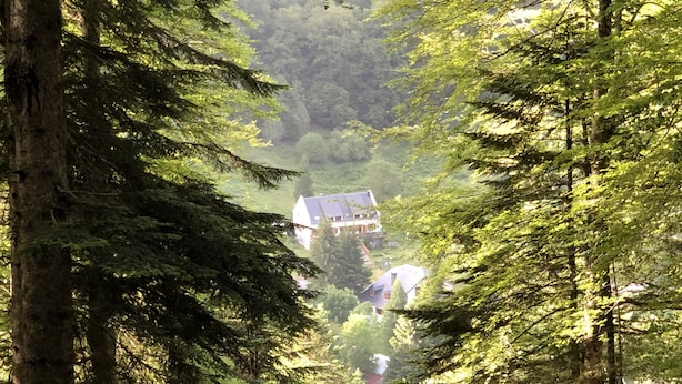 A forested area with a house nestled among tall trees. - Hôtel Ô Chiroulet (Bagnères-de-Bigorre)
