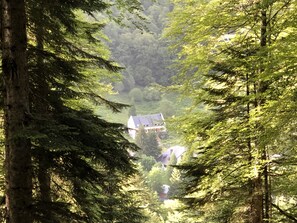 A forested area with a house nestled among tall trees. - Hôtel Ô Chiroulet (Bagnères-de-Bigorre)