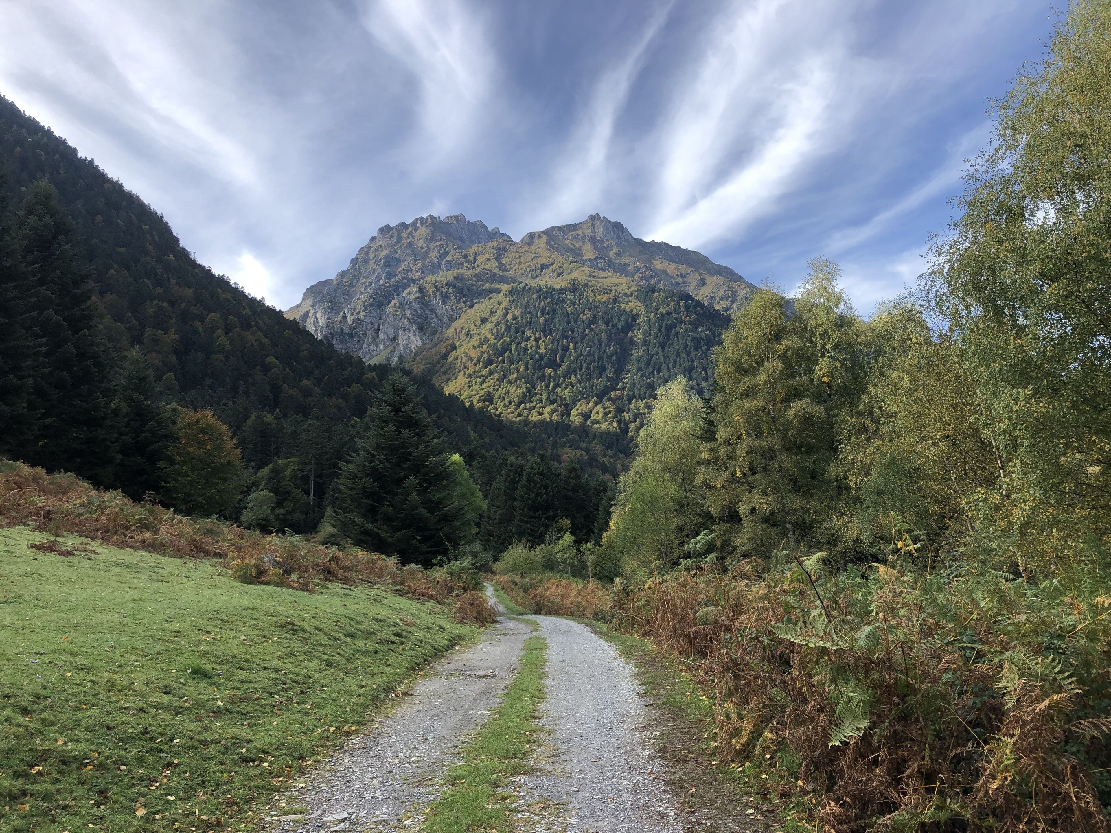 Un sentier de gravier qui traverse une zone boisée et mène à une montagne.