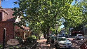 Vista de carrer amb cotxes aparcats, un edifici de maó amb la façana 'The Homestead' i una vorera flanquejada per arbres.