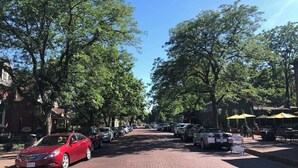 Carrer pavimentat flanquejat per cotxes aparcats i arbres, amb vorera de rajola i zona d'aigües obertes amb ombrel·les.