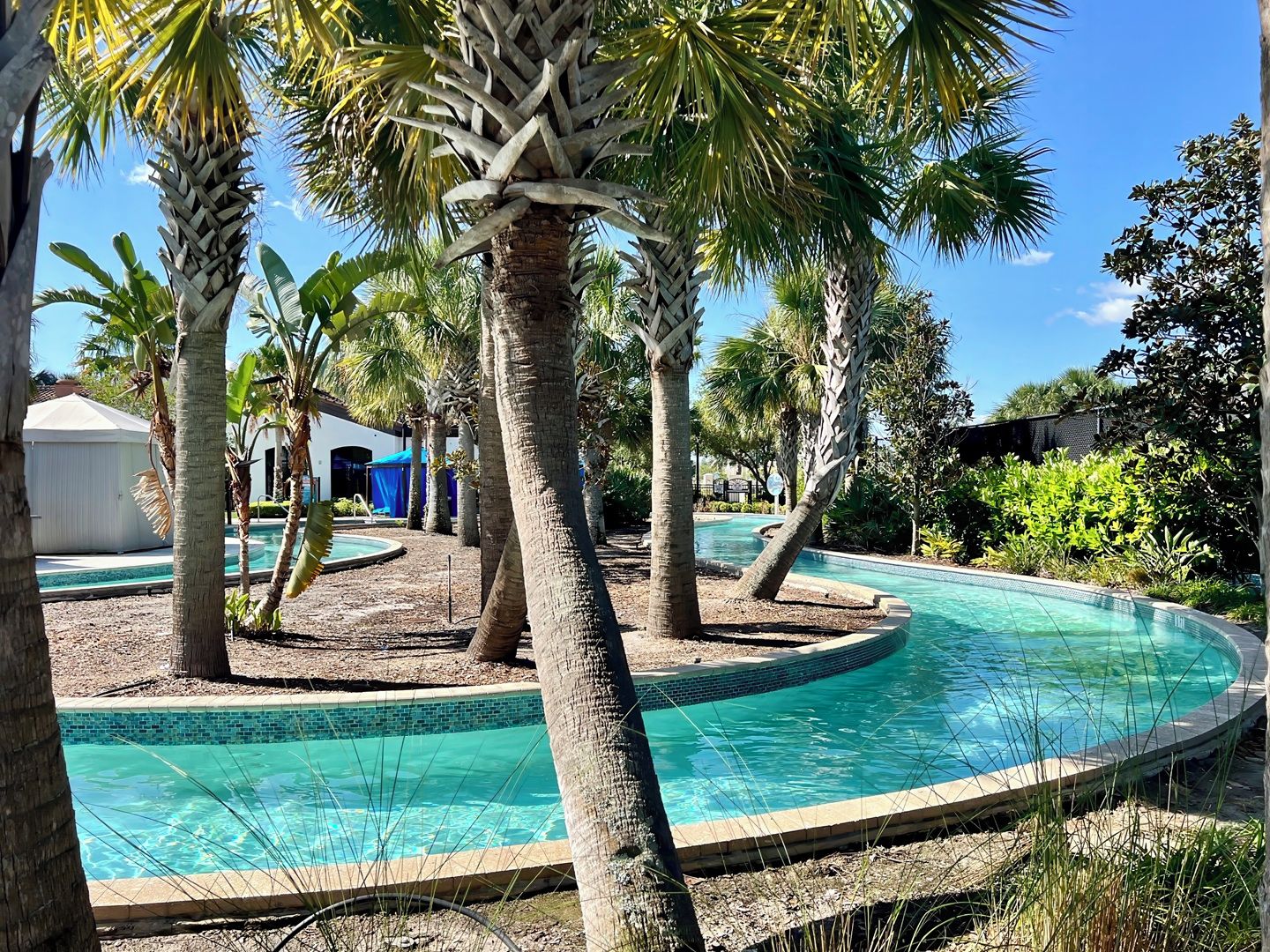A pool area with palm trees and a clear blue pool.