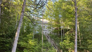 Eine Holztreppe führt zu einem Gebäude, das von dichtem Wald umgeben ist.